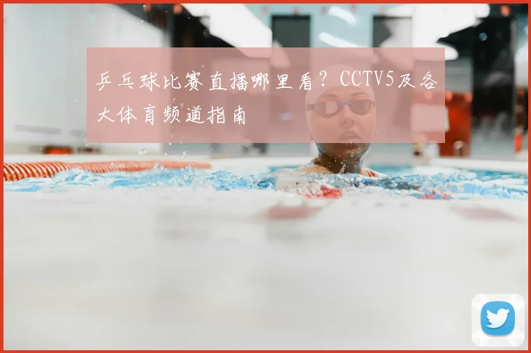 乒乓球比赛直播哪里看？CCTV5及各大体育频道指南