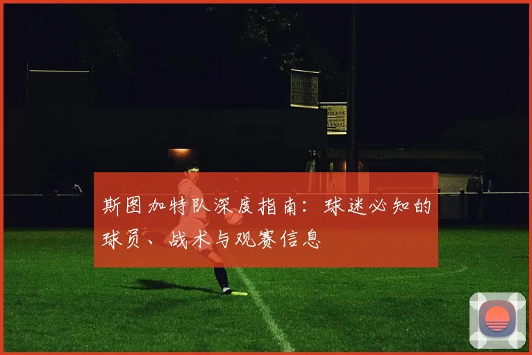 斯图加特队深度指南：球迷必知的球员、战术与观赛信息