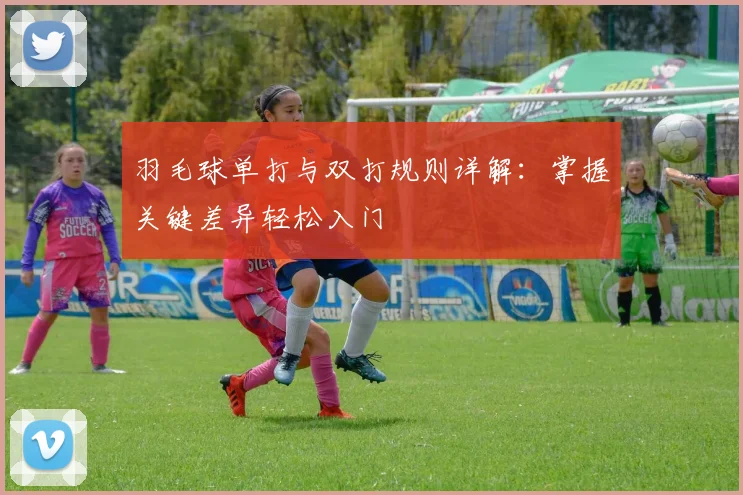 羽毛球单打与双打规则详解:掌握关键差异轻松入门