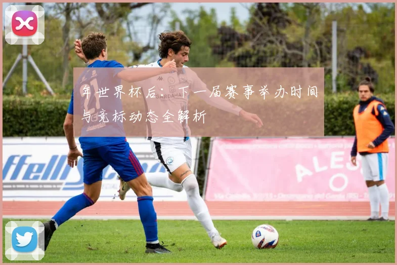 年世界杯后:下一届赛事举办时间与竞标动态全解析