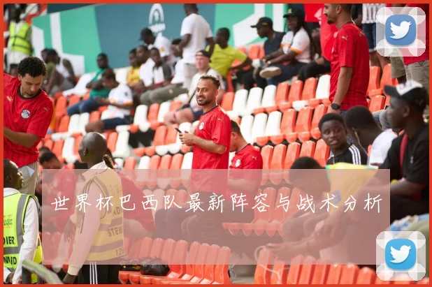 世界杯巴西队最新阵容与战术分析